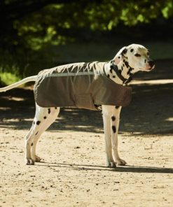 Michaeltabitha.shop0c7910352b 1