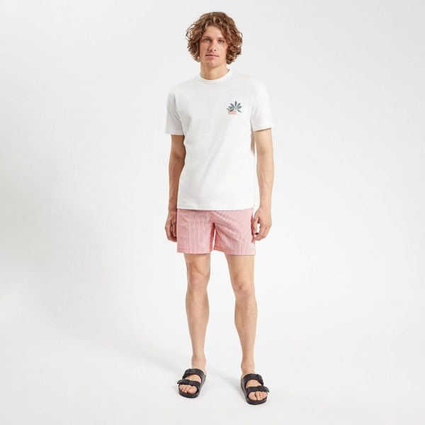 Michaeltabitha.shop80c683eafe 3